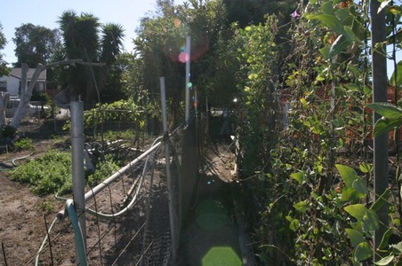 Enlarge photo 19