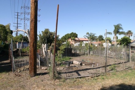 Enlarge photo 22