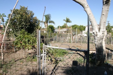 Enlarge photo 23
