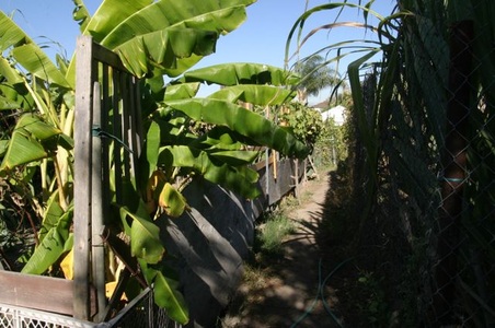 Enlarge photo 25