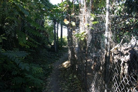 Enlarge photo 26