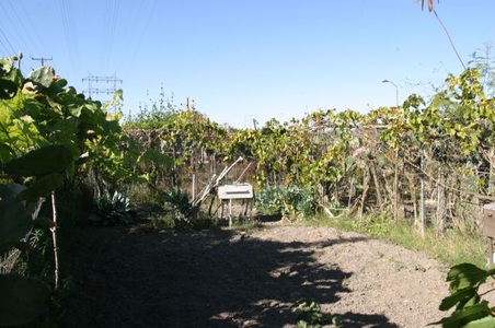 Enlarge photo 27