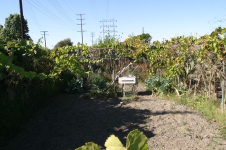Enlarge photo 28