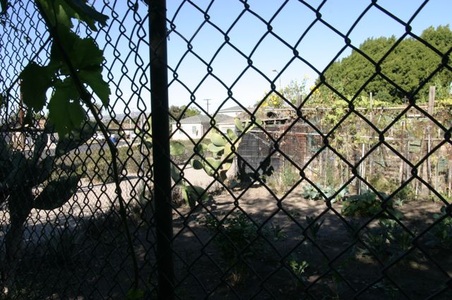 Enlarge photo 29