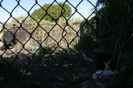Enlarge photo 30