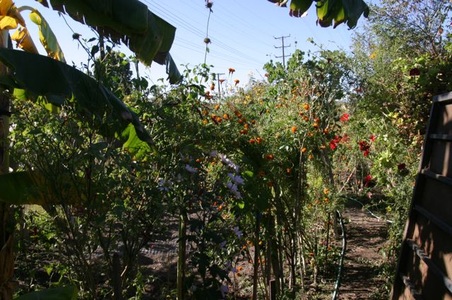 Enlarge photo 31