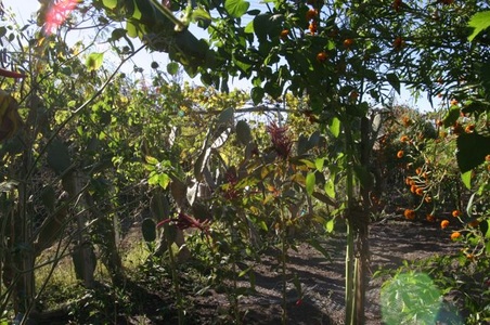 Enlarge photo 32