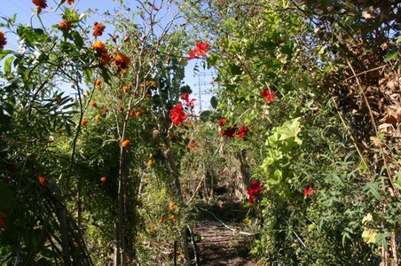 Enlarge photo 33