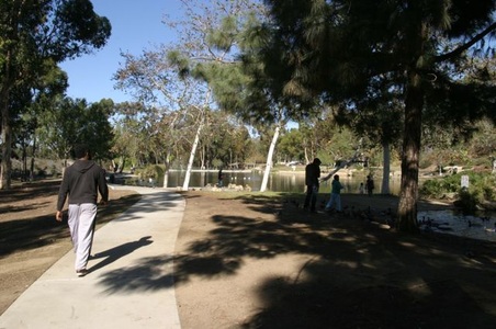 Enlarge photo 11