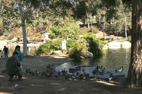 Enlarge photo 13