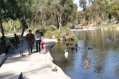 Enlarge photo 14