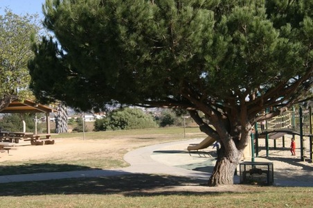 Enlarge photo 26