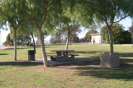 Enlarge photo 37