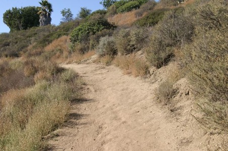 Enlarge photo 39