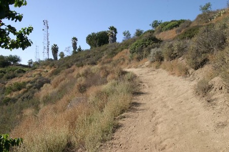 Enlarge photo 40