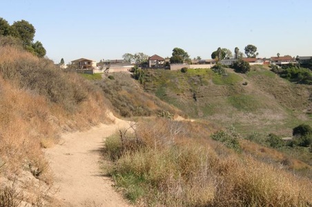 Enlarge photo 41