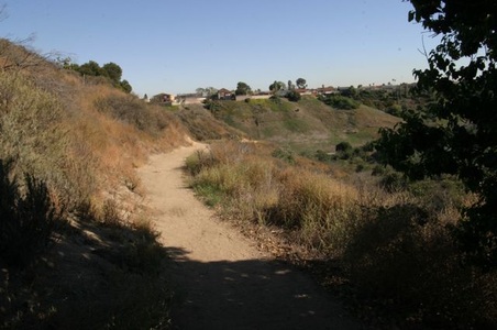 Enlarge photo 42