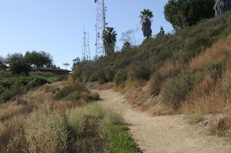Enlarge photo 43