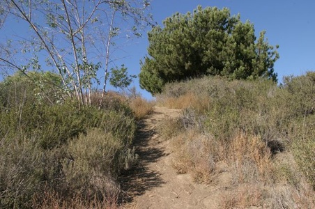 Enlarge photo 46