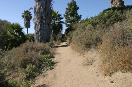 Enlarge photo 47