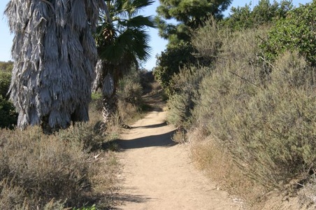 Enlarge photo 48