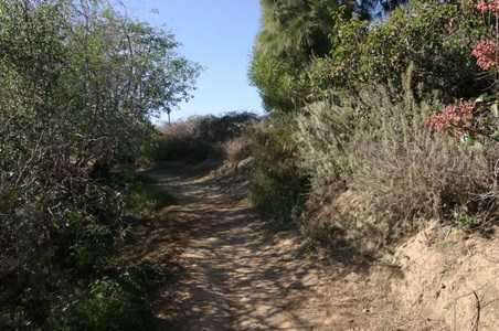 Enlarge photo 49
