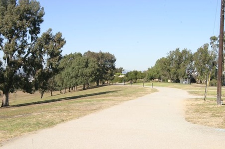 Enlarge photo 52