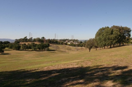 Enlarge photo 54