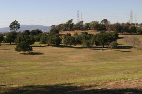 Enlarge photo 56