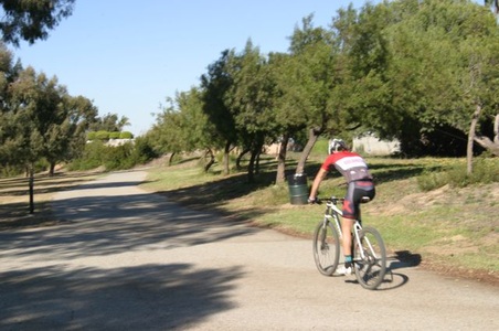 Enlarge photo 57