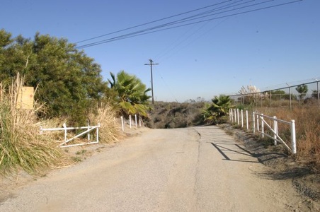 Enlarge photo 59