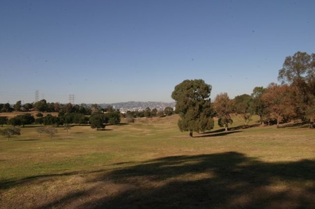 Enlarge photo 61