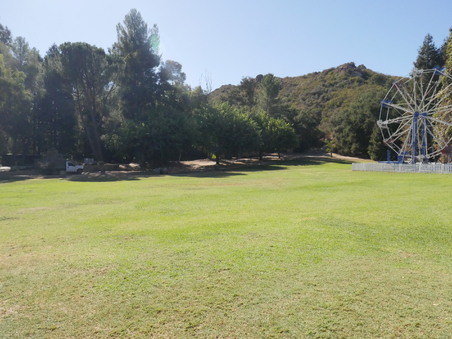 Enlarge photo 52