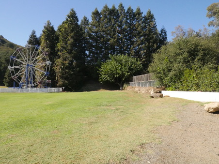 Enlarge photo 54