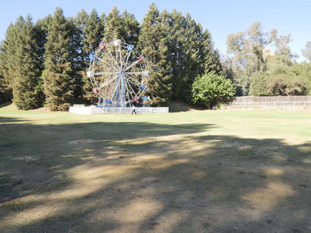 Enlarge photo 56
