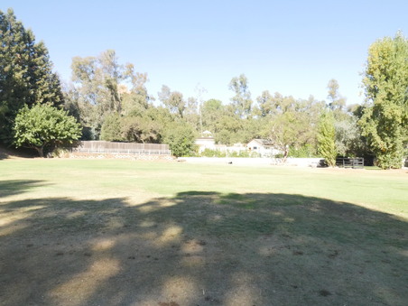Enlarge photo 57