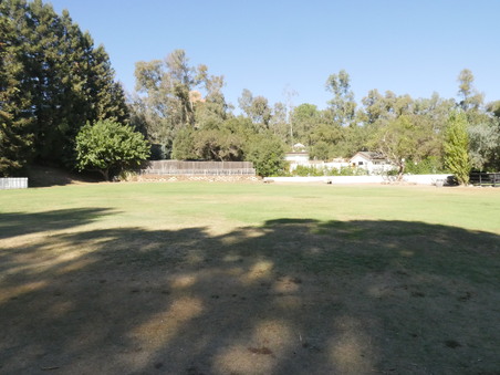 Enlarge photo 58
