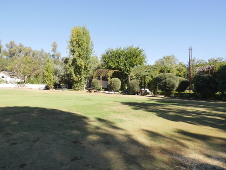 Enlarge photo 59