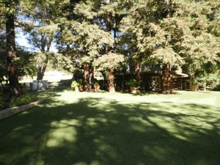 Enlarge photo 61