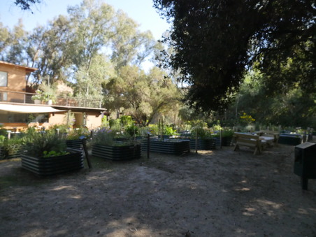 Enlarge photo 67