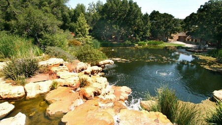 Enlarge photo 24