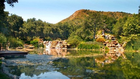 Enlarge photo 25