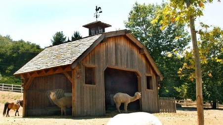 Enlarge photo 32
