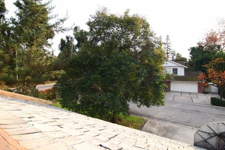 Enlarge photo 64
