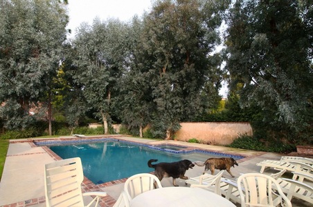 Enlarge photo 92