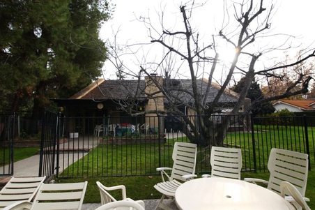 Enlarge photo 93