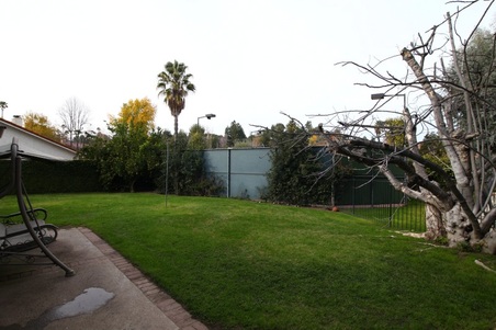 Enlarge photo 95