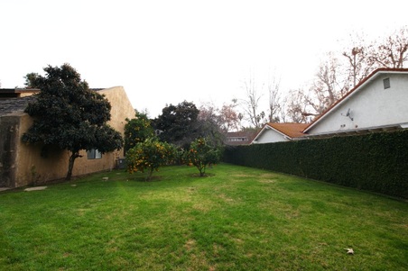 Enlarge photo 97
