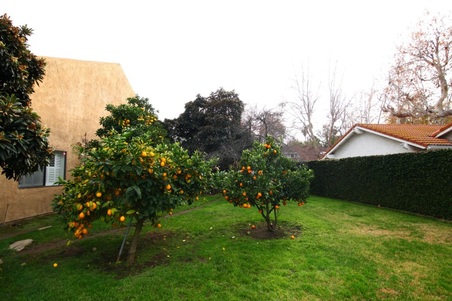 Enlarge photo 99
