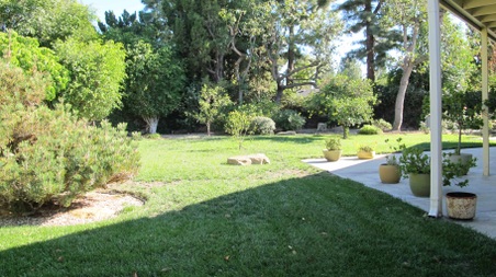 Enlarge photo 15